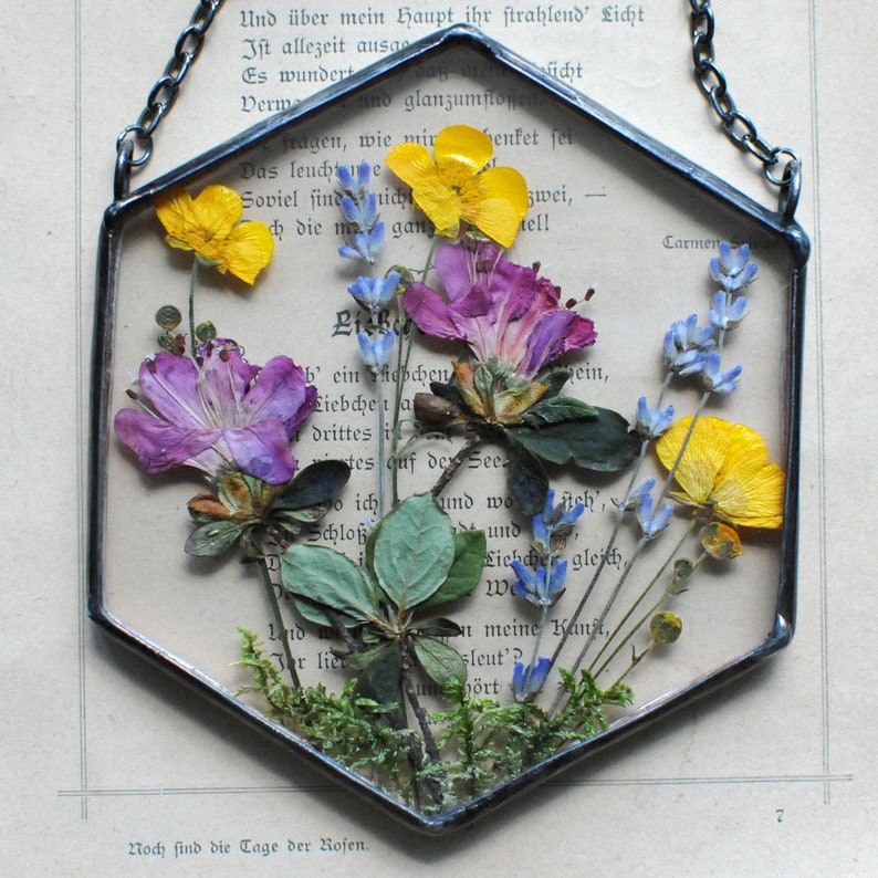 Pressed Flower Frame Herbarium Pressed Flower Art Pressed Etsy