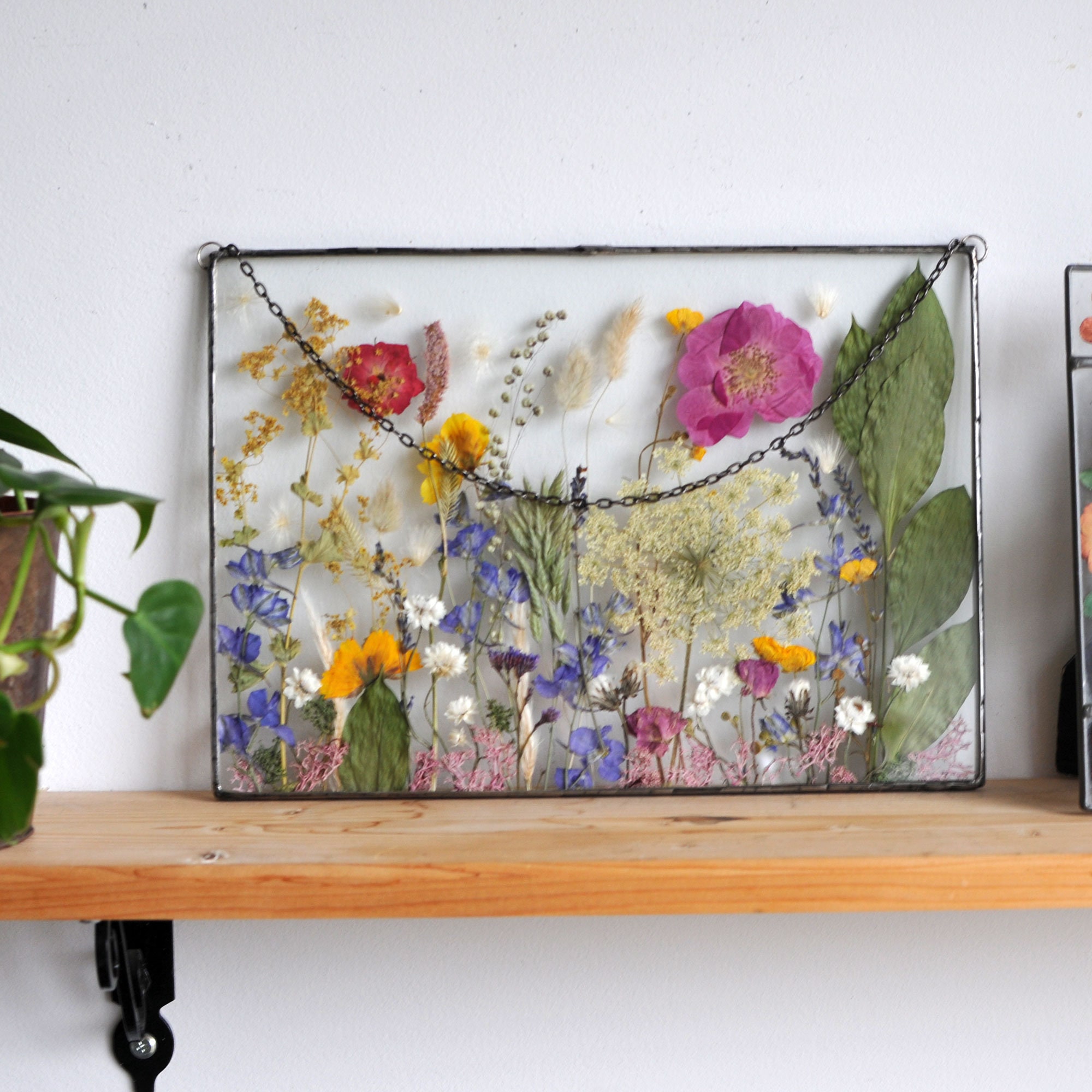 Kit Presse à Fleurs Extra Large 38x29cm – Pour Adultes & Ados – Avec Tutos Vidéo – Idéal Cadeau Créatif