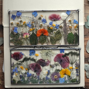 Pressed Flower Frame Set: Large Dried Flower Glass Decor (11.5x6 inches)