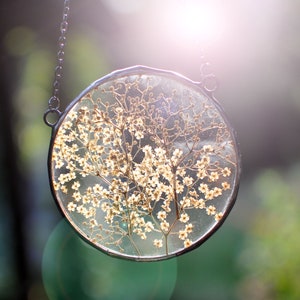elderberry, Framed flowers, Dried Flower Frame, Pressed  Flowers, Pressed Flower Frame, Pressed Flower Frame, dry flower