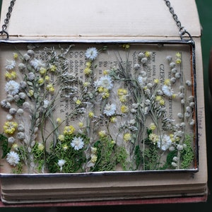 Pressed Flower Frame, Floral Art, Botanical Decor, Nature's Beauty, Floral Keepsakes, Unique Wall Art, MARIAELA