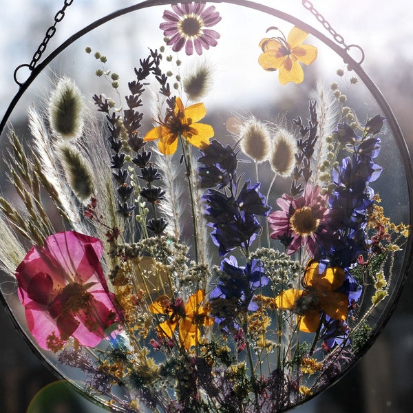 Pressed Flower Art, Botanical Art, Large Pressed Flower, Floating Frame Art, Glass Pressed Flower, Pressed Flower, Pressed Flower Wall Decor