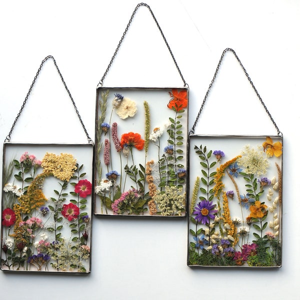 Pressed Botanicals, set of 3 Pressed Flowers Frames, Wall Art Set Of 3, Set Of 3 Wall Art Framed, Pressed Flowers Set, Wall Art Framed