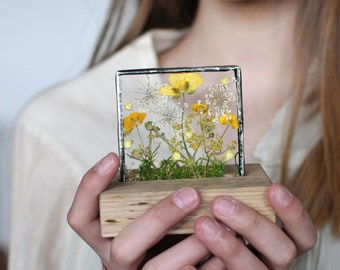 Gepresste Blumen, gepresster Blumenrahmen, Buntglasrahmen, Holzständer, Holzständer, Wickelstation, Büroideen