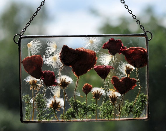 Pressed flower frame - Poppies