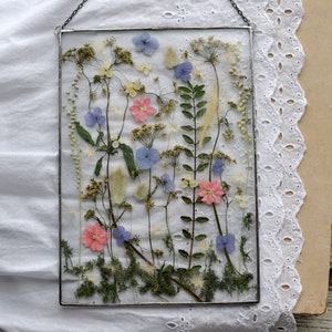 Pressed Flower Herbarium – Real Dried Flowers Botanical Wall Art A4