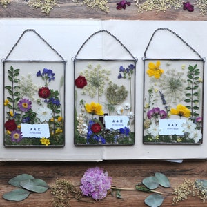 Pressed Botanicals, set of 3 Pressed Flowers Frames, Wall Art Set Of 3 Set Of 3Wall Art Framed, Pressed Flowers Set, Wall Art Framed