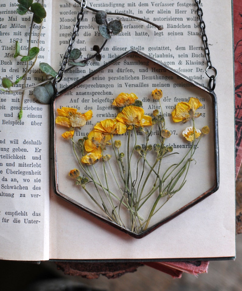 Pressed Flower Frame Pressed Flower Art Pressed Flowers Etsy