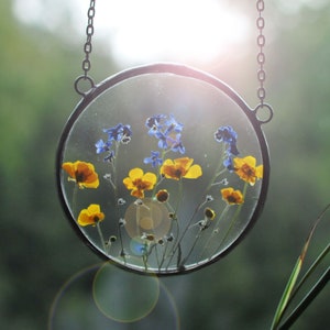 MARIAELA, glass floating frame, pressed flower art, buttercup, yellow flowers, forget-me-nots, glass art frame, Glass Hanging Frame