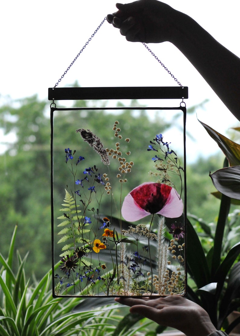 Pressed Flowers Large Pressed Flower Preserved Flower Art Etsy