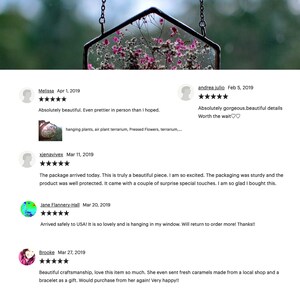May include: A glass terrarium with a hexagonal frame, hanging from a chain. The terrarium is filled with dried flowers and greenery. The terrarium is a popular home decor item and is often used to display plants, flowers, or other small objects.