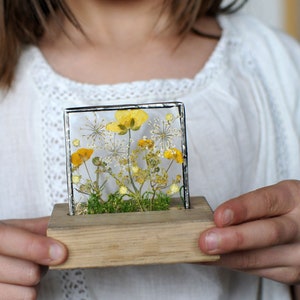 Pressed Flowers, Pressed Flower Frame, Stained Glass Frame, Wood Stand ...