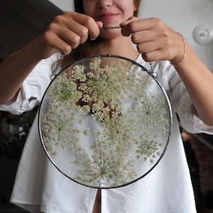 Delicate Queen Anne&#39;s Lace Pressed Flower Art – Circle Floating Frame