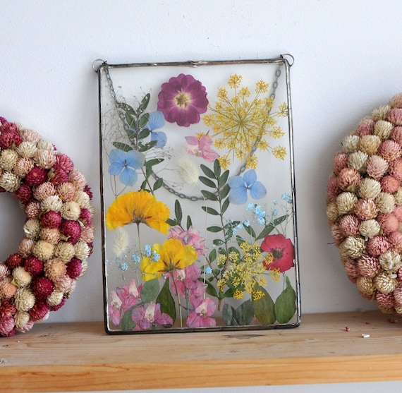 Multicolor Natural Dried Pressed Flowers For Resin Art at Rs 300