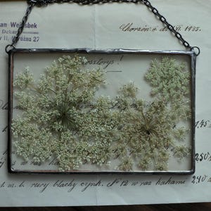 Gerahmte Blumen, Getrocknete Blumenrahmen, Glasmalerei, Schwimmende, Wandbehang, Fensterbehänge, Gepresste Blumenrahmen, Housewarminggeschenk