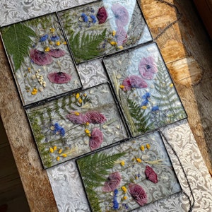 set of 5, Pressed Flowers Frame, Gift for women, mom, Botanical Wall Art, Pressed Flower Wall Art, MARIAELA
