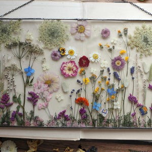 Large Pressed Flower Frame: Botanical Wall Art