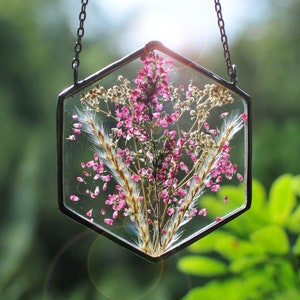 hanging plants, air plant terrarium, Pressed Flowers, terrarium, air plant terrarium, terrarium decor, Stained glass decor image 1