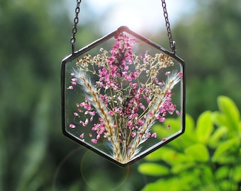 hanging plants, air plant terrarium, Pressed Flowers, terrarium, air plant terrarium, terrarium decor, Stained glass decor