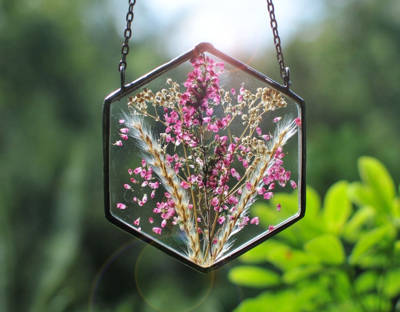 hanging plants, air plant terrarium, Pressed Flowers, terrarium, air plant terrarium, terrarium decor, Stained glass decor image 1