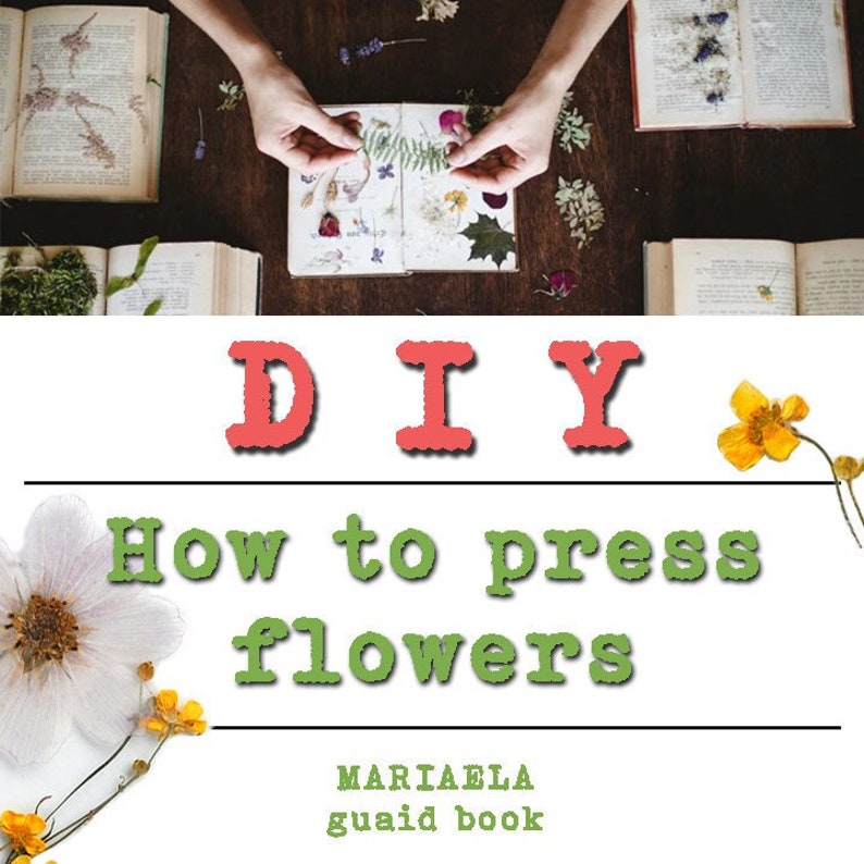 Trocknen von Blumen, DIY Trockenblumen, Wie man Blumen presst, Wie man presst, Tutorial, Arbeitsbuch Wie man Blumen trocknet, E-Book Mariaela Bild 1