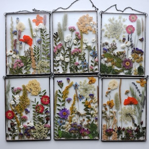 Gepresste Botanicals, 6er-Set, gepresste Blumenrahmen, Wandkunst 6er-Set, 6er-Set Wandkunst gerahmt, gepresste Blumenset, Wandkunst gerahmt