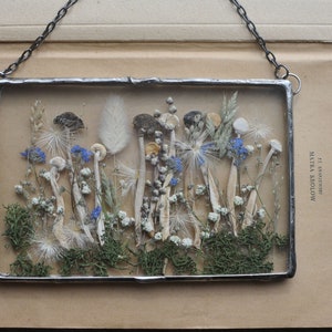 K&ouml;nnte beinhalten: Ein gerahmtes gepresstes Blumenkunstwerk mit einer Auswahl an getrockneten Blumen und Pflanzen, darunter wei&szlig;e Pilze, blaue Blumen und gr&uuml;nes Moos. Der Rahmen ist aus Metall und hat ein rustikales Aussehen.
