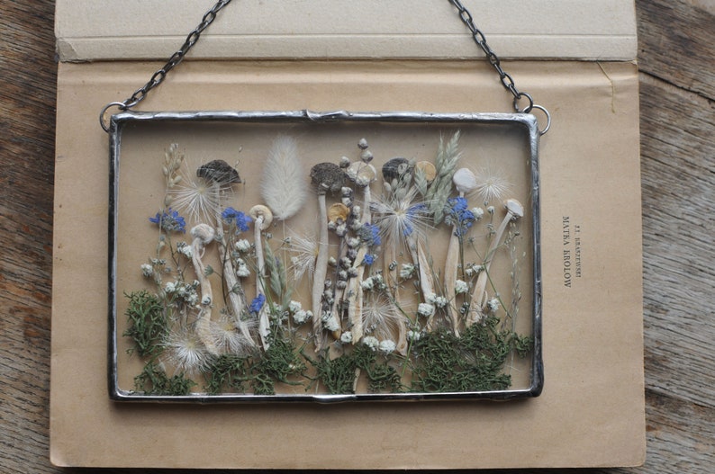 K&ouml;nnte beinhalten: Ein gerahmtes gepresstes Blumenkunstwerk mit einer Auswahl an getrockneten Blumen und Pflanzen, darunter wei&szlig;e Pilze, blaue Blumen und gr&uuml;nes Moos. Der Rahmen ist aus Metall und hat ein rustikales Aussehen.