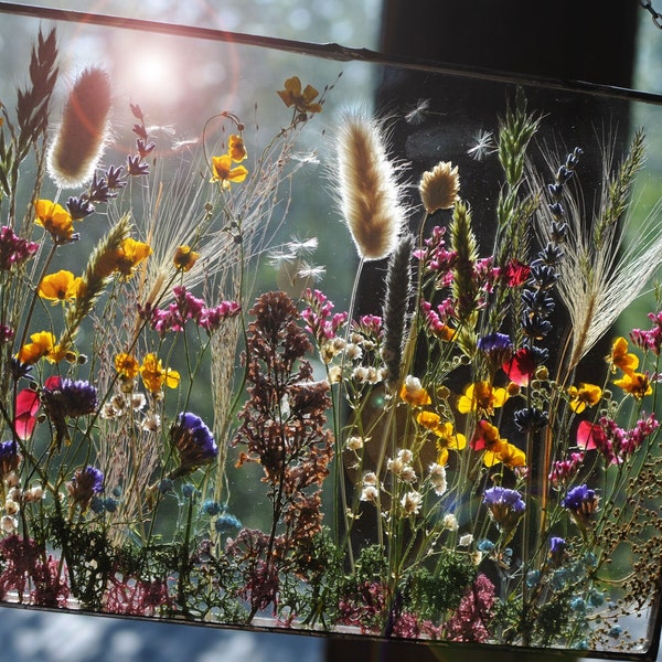 A4 8,27 x 11,69, décoration en verre suspendu, fleurs pressées, grande fleur pressée, fleur séchée, MARIAELA, cadre de plante pressé, suspension de fleurs