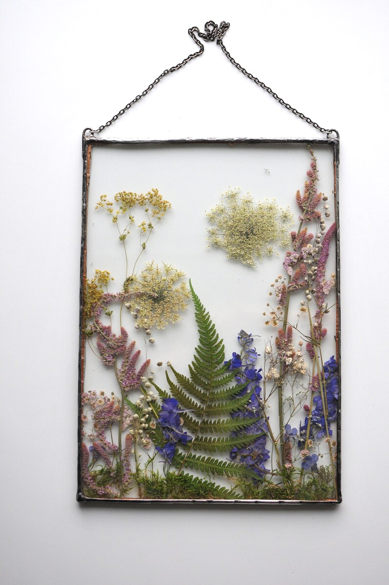 Large Dried Flowers Pressed Flowers Large Pressed Flower Etsy