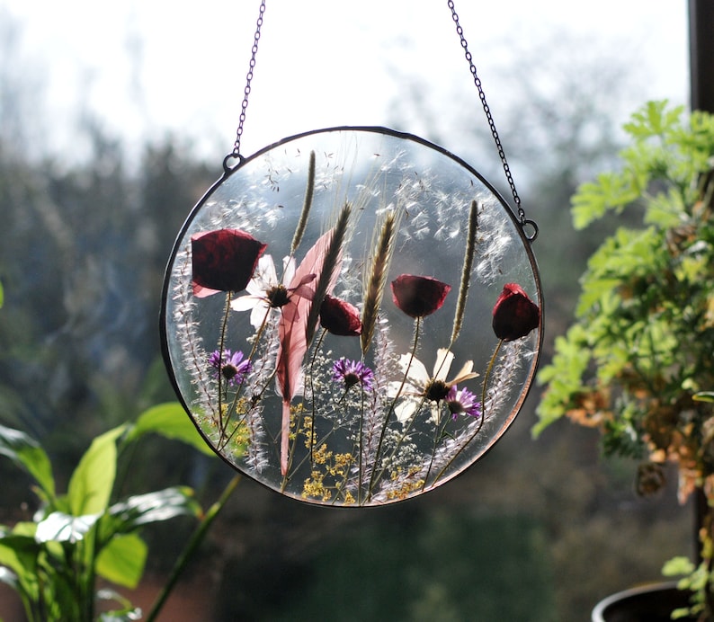 Circle Pressed Flowers Large Pressed Flower Pressed Flower Etsy Canada