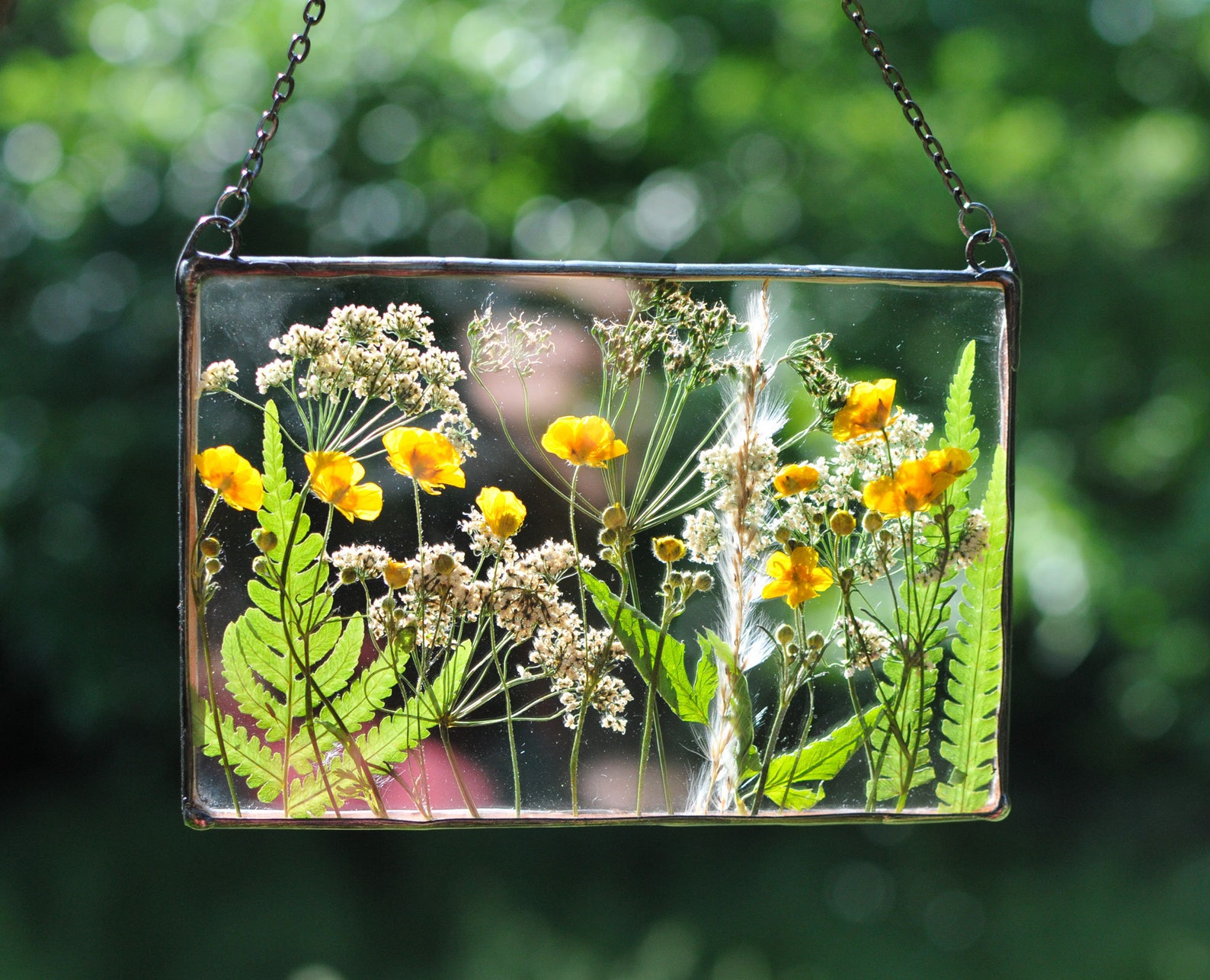 Framed Flowers Dried Flower Frame Stained Glass Floating Etsy