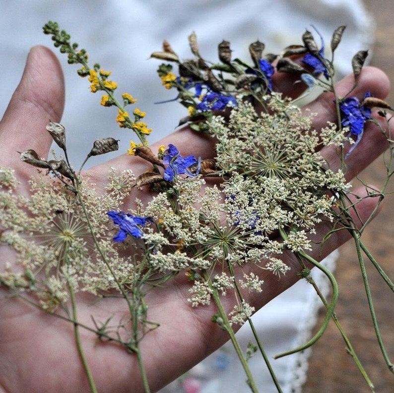 drying flowers, DIY Dried Flowers, How to pressed flower, How to press, tutorial, How to dry flowers workbook, e-book mariaela image 5