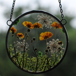 MARIAELA, gift from Poland, Framed botanicals, Dried Flower Frame, Pressed  Flowers, Pressed Flower Frame, Pressed Flower Frame, dry flower