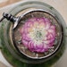 see more listings in the Botanical necklaces section