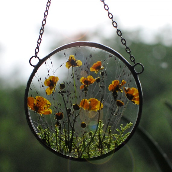 MARIAELA, Glass Floating Frame, Pressed Flower Art, Buttercup, Yellow  Flowers, Forget-me-nots, Glass Art Frame, Glass Hanging Frame 
