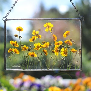 pressed flowers, pressed flower frame, framed dried flowers, wall hanging, floating frame, office decor, fast shiping