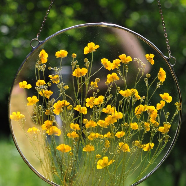 Glass Frame for Pressed Flowers Etsy