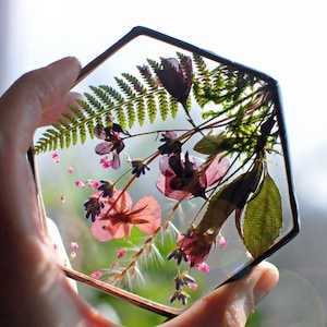 pressed plant frame, pressed flower, pressed flower frame, framed dried flowers, fern, lavender, hanging glass decor, Stained glass decor