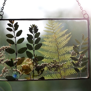 gepresste Blumen, gepresste Blumen Bilderrahmen, gerahmte getrocknete Blumen, Wandbehang, schwebende Rahmen, Bürodekoration, schnelle Lieferung