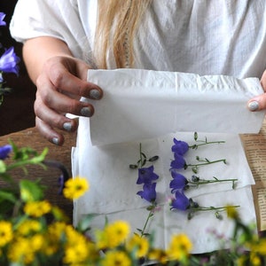 drying flowers, DIY Dried Flowers, How to pressed flower, How to press, tutorial, How to dry flowers workbook, e-book mariaela image 6
