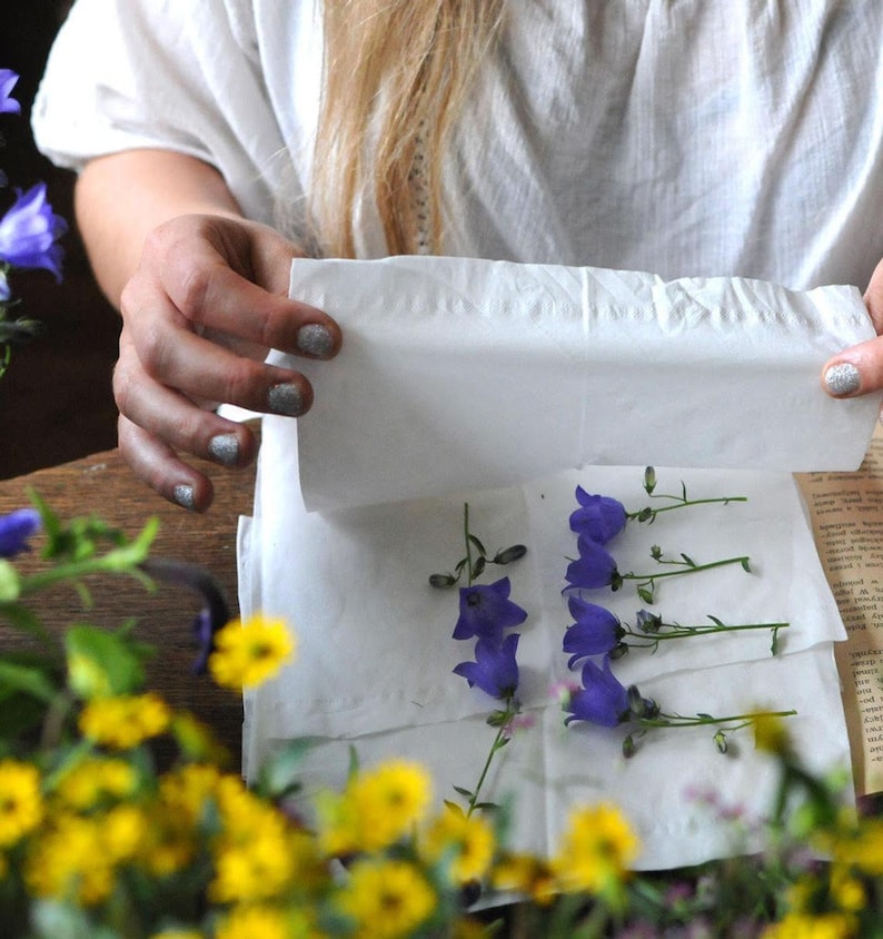drying flowers, DIY Dried Flowers, How to pressed flower, How to press, tutorial, How to dry flowers workbook, e-book mariaela image 6