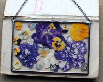 pressed flower, pressed flower frame, framed dried flowers, floating frame,  pansy lover, cosmos, petunia, cosmos flowers, cosmic flowers