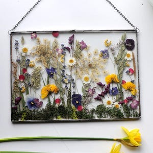 Pressed Flowers, Large Pressed Flower, 1 st anniversary, 1 year anniversary, dried flower bouquet