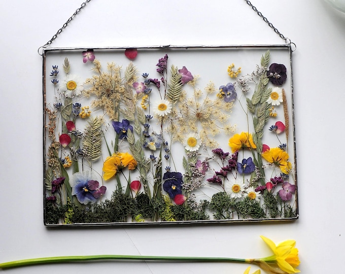 Pressed Flowers, Large Pressed Flower, 1 st anniversary, 1 year anniversary, dried flower bouquet
