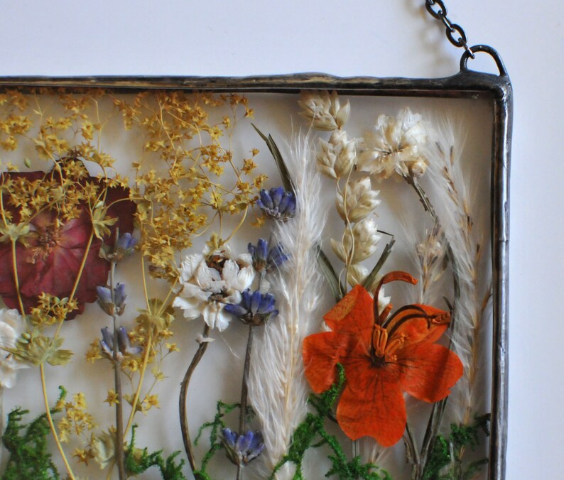 Pressed Flower Pressed Flower Frame Framed Dried Flowers Etsy