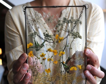 Pressed Flower Frame: Queen Annes Lace, Framed Dried Flowers Wall Hanging