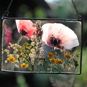 pressed flowers, pressed flower frame, framed dried flowers, wall hanging, floating frame, real poppy picture, pressed Flowers Art