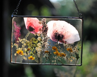pressed flowers, pressed flower frame, framed dried flowers, wall hanging, floating frame, real poppy picture
