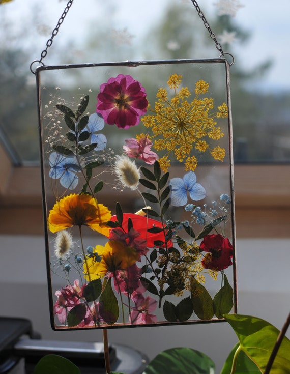 鮮やかな押し花、押し花フレーム、額入りドライフラワー、壁掛け 鮮やかな押し花、押し花フレーム、額入りドライフラワー、壁掛け